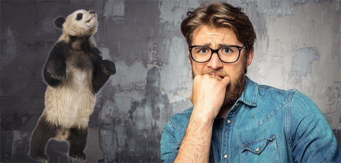 Derfor-holdt-alle-vejret,-da-Google-Panda-update-kom-til-Danmark