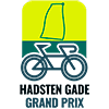 OnlineSynlighed.dk støtter Hadsten Gade Grand Prix