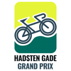 OnlineSynlighed.dk støtter Hadsten Gade Grand Prix