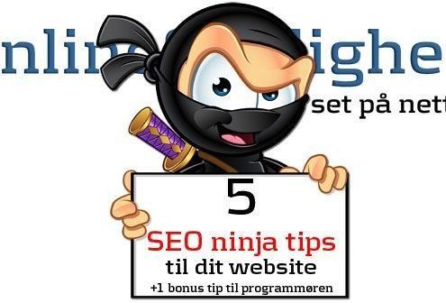 OnlineSynlighed.dk giver dig her 5 SEO Ninja tips til dit website (og én bonus til din programmør)