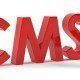 CMS systemer og søgemaskineoptimering