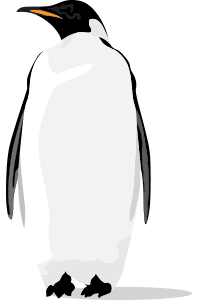 pingvin1