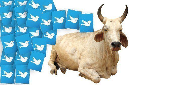Twitter slagter hellig ko: Vil sortere i dine tweets
